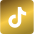 tiktok icon