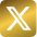 x icon